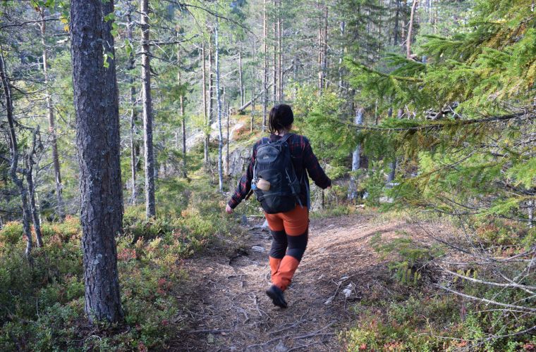 metsäkävely, metsä, metsäkylpy, Imatra, Lappeenranta, Saimaa