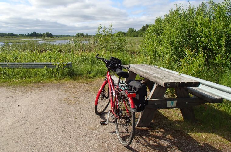 Siikalahti bird lake on Iron Curtain biketour